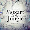 Mozart in the Jungle - Seasons 1 & 2