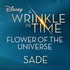 A Wrinkle in Time: Flower of the Universe (Single)