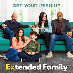 Extended Family: Get Your Irish Up (Single)