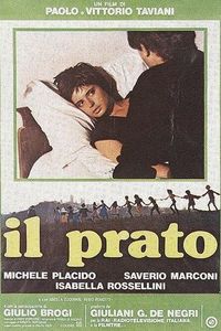 Il Prato (The Meadow)