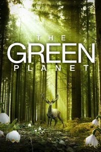 Das grüne Wunder - Unser Wald (The Green Planet)