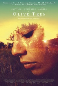 The Olive Tree (El olivo)