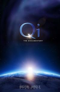 Qi - The Documentary