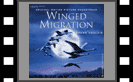 Winged Migration