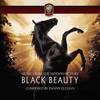 Black Beauty - Expanded