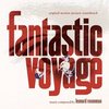 Fantastic Voyage