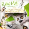 Elaba Mali - From Island of Lemurs: Madagascar Trailer