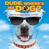 Dude, Where's My Dog?