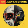 A Cat in the Brain