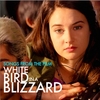 White Bird in a Blizzard: Songs from the Film