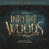 Into the Woods - Instrumental Songs Version