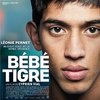 Bebe Tigre