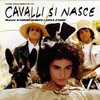 Cavalli si nasce