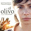 El olivo