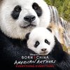 Born in China: Everything Everything (Single)