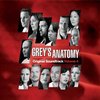 Grey's Anatomy - Vol. 4