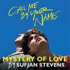 Call Me By Your Name: Mystery of Love (Single)