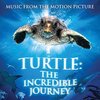 Turtle: The Incredible Journey