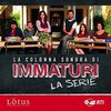 Immaturi - La serie