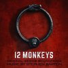 12 Monkeys: Season 4