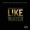 Anderson Silva: Like Water