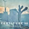 Fortitude III