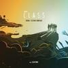 Class - Vinyl Edition