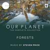 Our Planet: Forests (Episode 8)