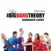 Theme From 'The Big Bang Theory' (Single)