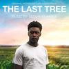 The Last Tree