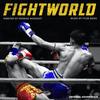 Fight World