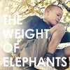 The Weight of Elephants