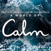 A World of Calm