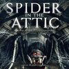 Spider in the Attic