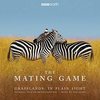 The Mating Game - Grasslands: In Plain Sight