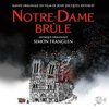 Notre-Dame brule