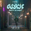 Silver and the Book of Dreams: pretty by night (Single)