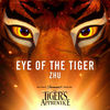 The Tiger's Apprentice: Eye of the Tiger (Single)