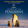 Secrets of the Penguins