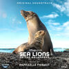 Sea Lions of the Galapagos