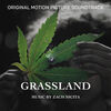Grassland