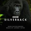 Silverback
