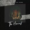 The Harvest