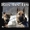 Finding Rin-Tin-Tin