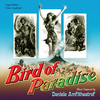 Bird Of Paradise / Lydia Bailey