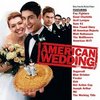 American Wedding