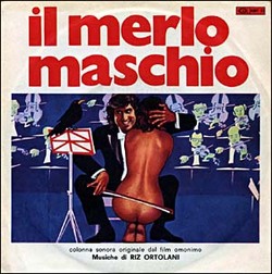 Il merlo maschio