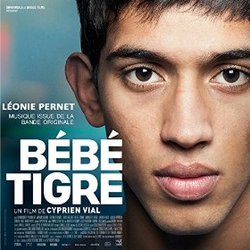 Bebe Tigre