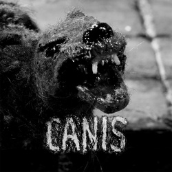 Canis