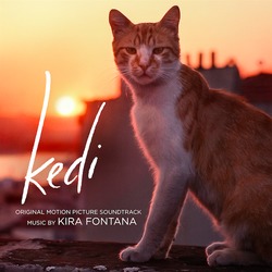 Kedi